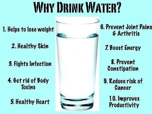 Why Drink Water