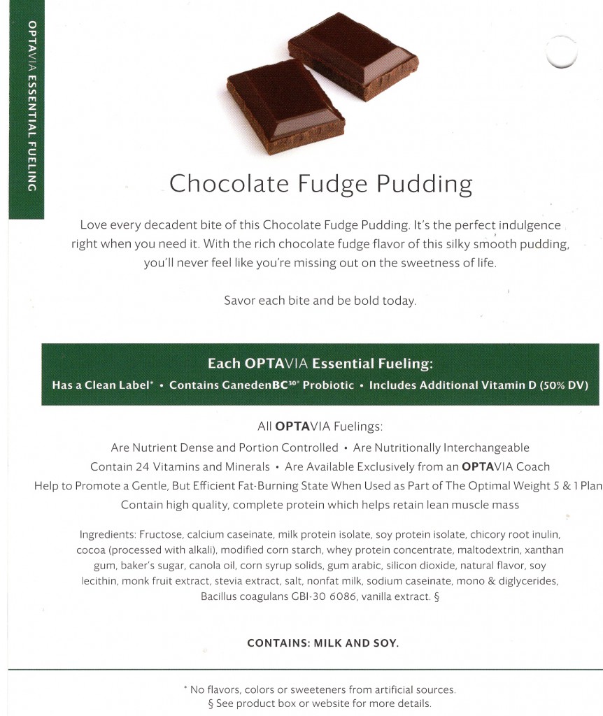 Chocolate Fudge Pudding-Back