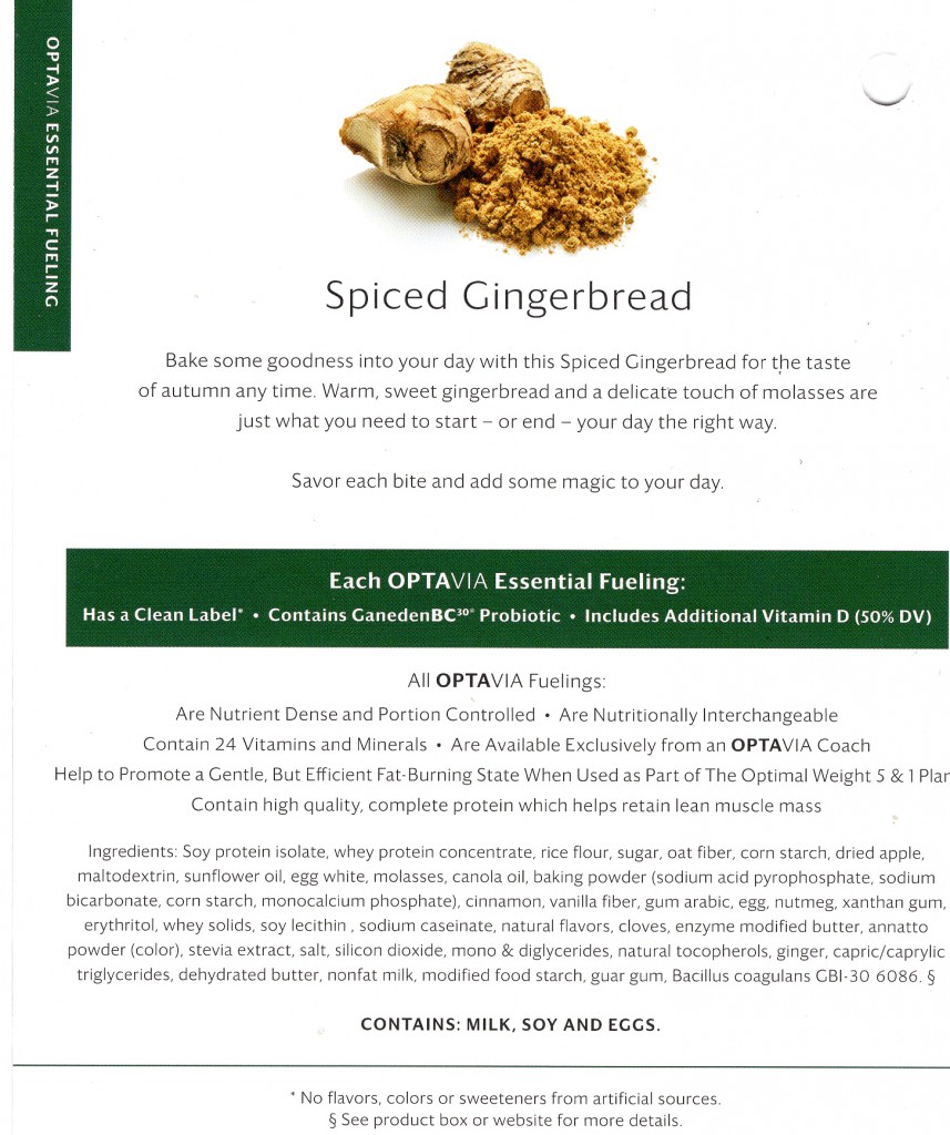 Spiced Gingerbread-Back